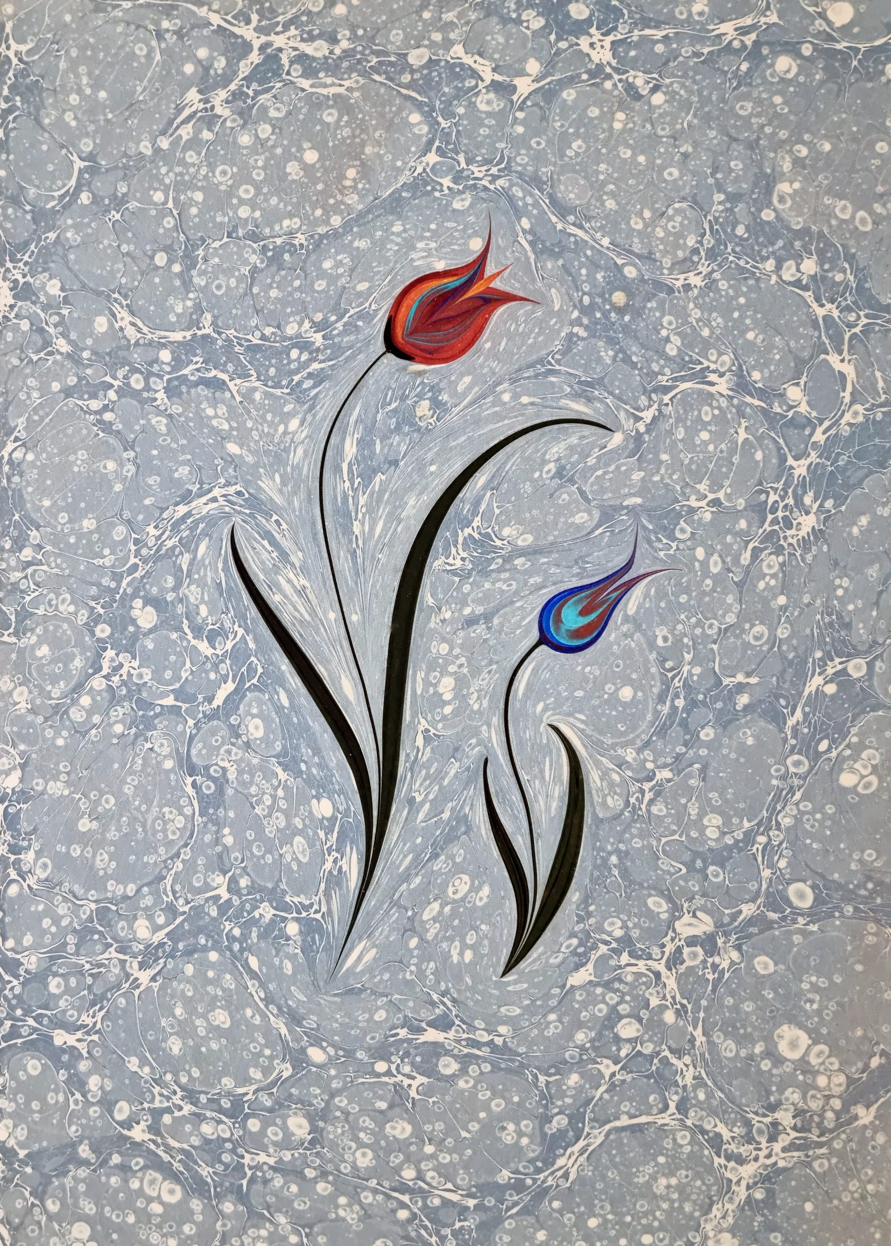 anasının kuzusu ebru